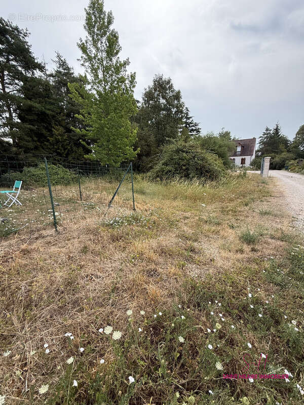 Terrain 400 m² à Clery-Saint-Andre  - photo 3