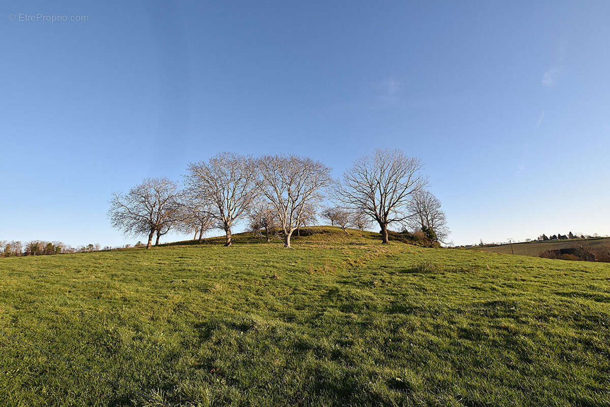 Maison à SAINT-GERAND-LE-PUY