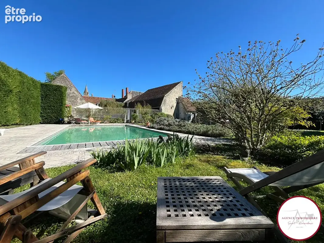 Aux Confins du 18, 03, 58,   Propriété centre ville avec dépendances, jardin et piscine - photo 15