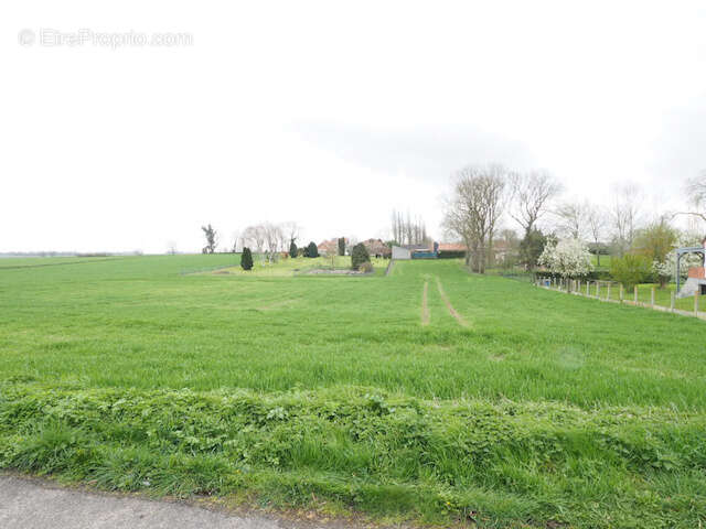 Terrain à CROISILLES