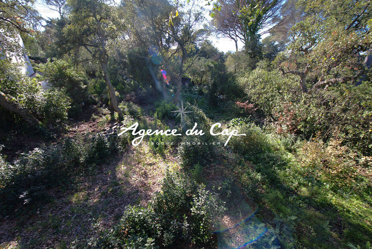 Terrain à SAINT-RAPHAEL