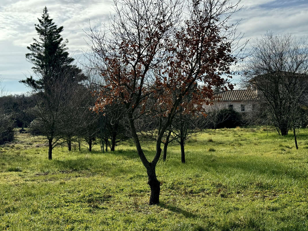 Terrain à UZES