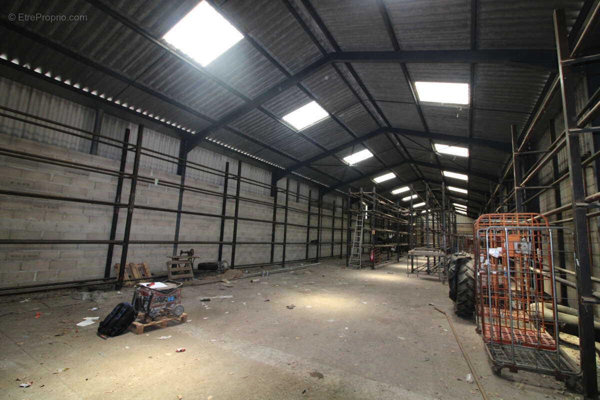 LOCAUX COMMERCIAUX DE 1750 M2 sur terrain de 3700 m2. - photo 2
