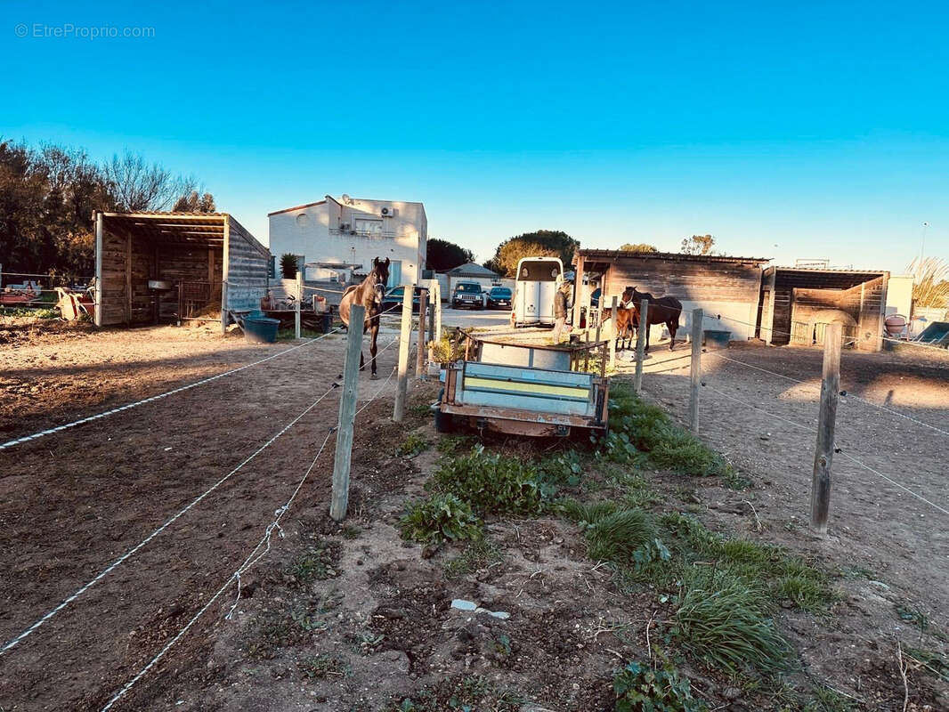 Commerce à TORREILLES