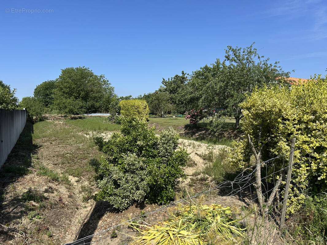 Terrain à LE LOROUX-BOTTEREAU