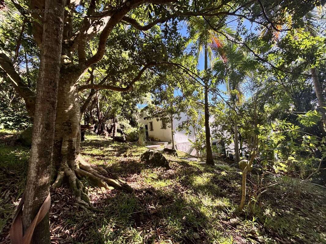 Propriété - 8 pièces - terrain de 4800 m² - photo 5