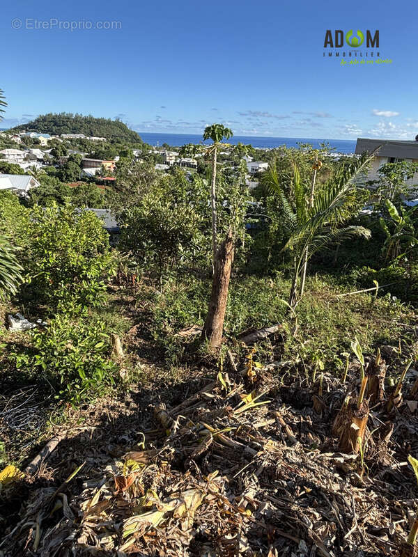 Terrain à SAINT-JOSEPH