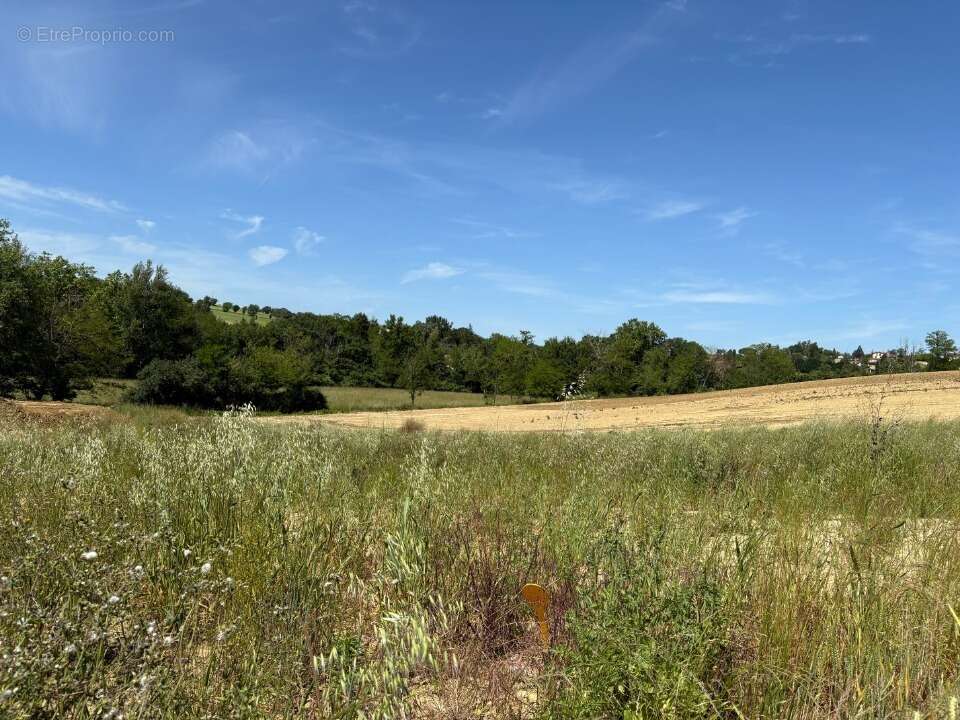 Terrain 983 m² à Verfeil  - photo 2