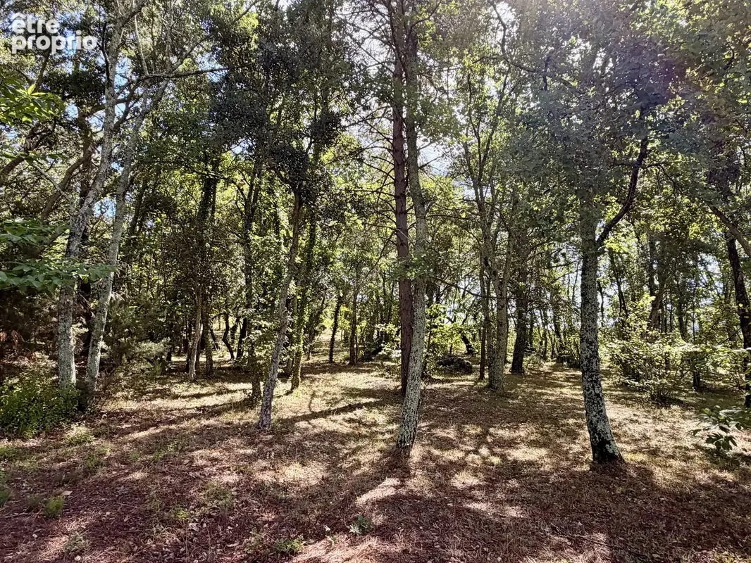 Élégante propriété avec villa principale, mazet en pierres et piscine - photo 17