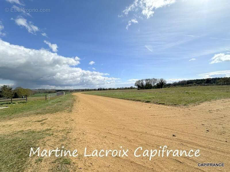 Dpt SARTHE (72), à vendre LA FERTÉ-BERNARD - PROPRIÉTÉ  P5 de 100 m² - Terrain de 10 Ha - photo 5