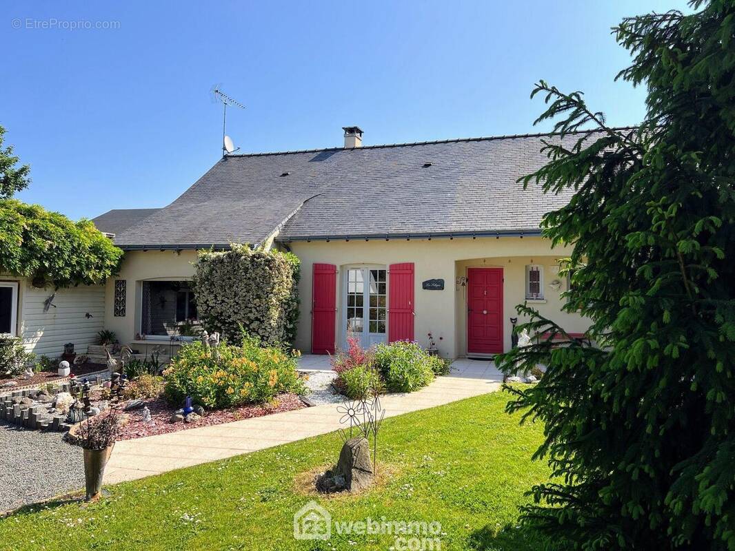 Maison charmante de 148 m² dans un environnement paisible proche du centre ville de Feneu à 5 minutes de Montreuil-Juigné. - Maison à MONTREUIL-JUIGNE