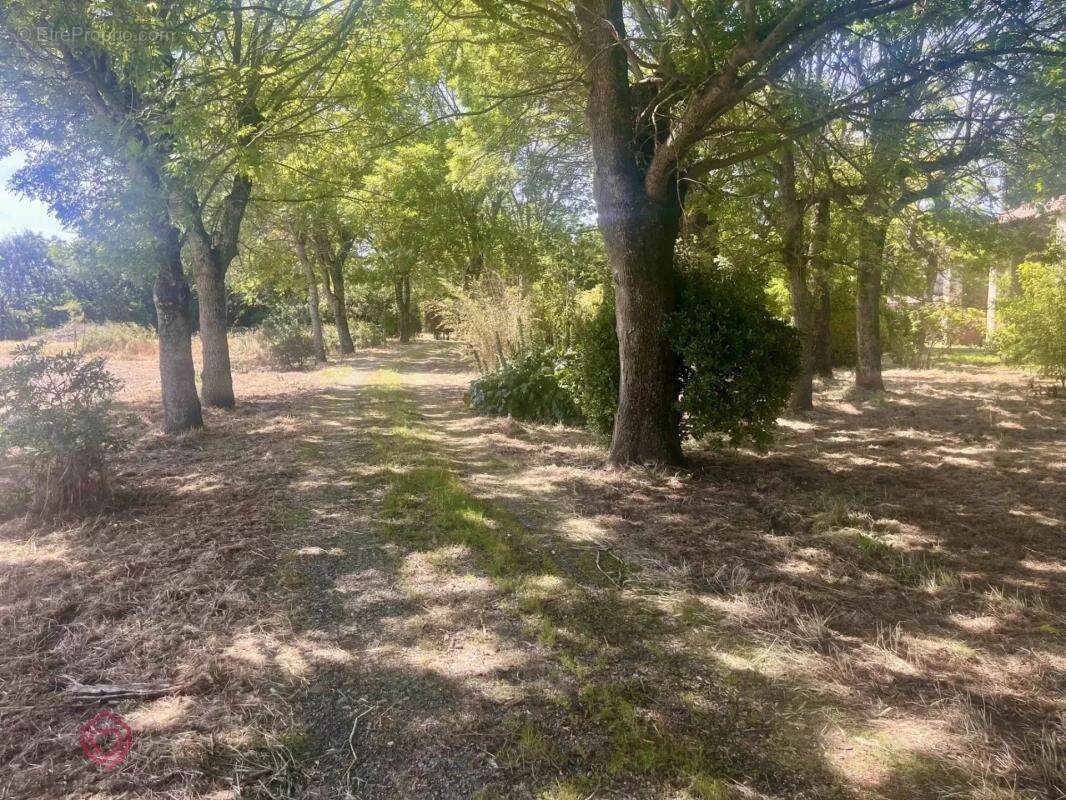 Maison à CASTELNAUDARY