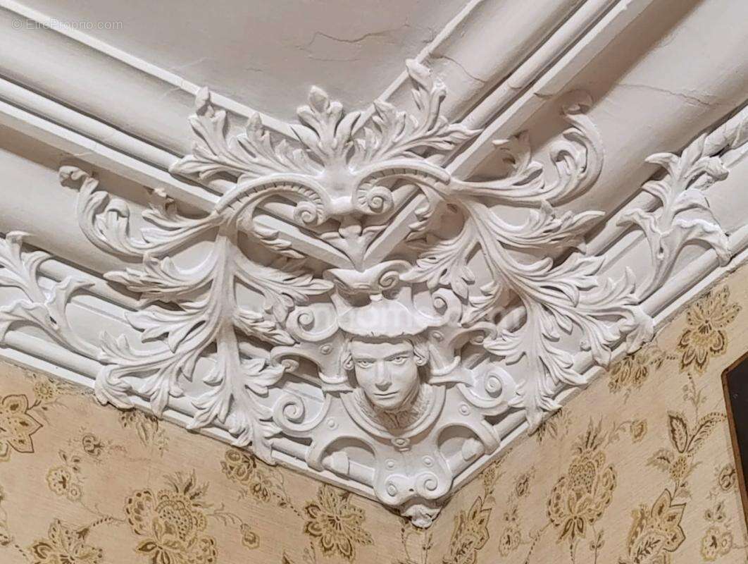 Demeure de maître – élégance, histoire et art de vivre au cœur de la vendée - photo 9