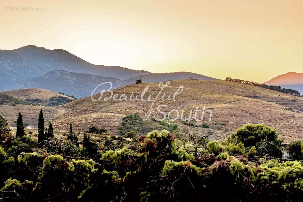 Maison à BANYULS-SUR-MER