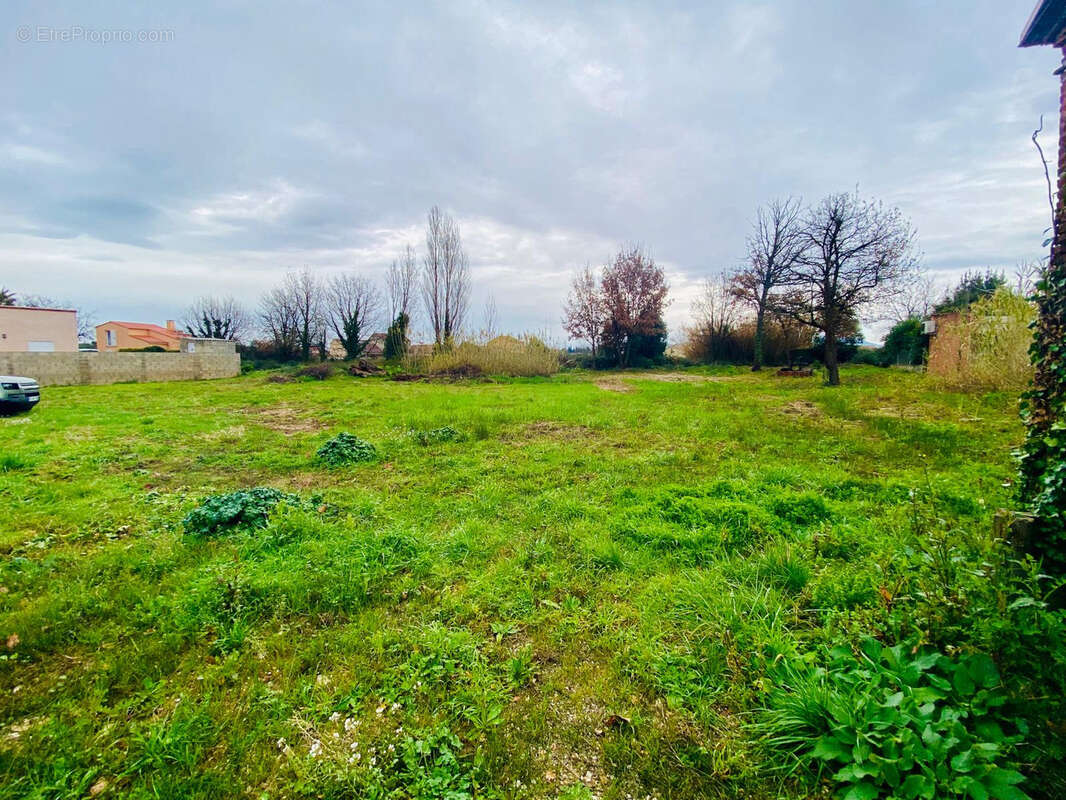 Terrain à THUIR