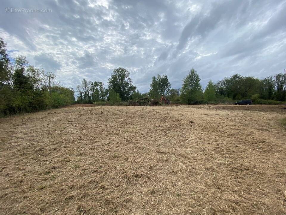 Terrain à CHAMPNIERS