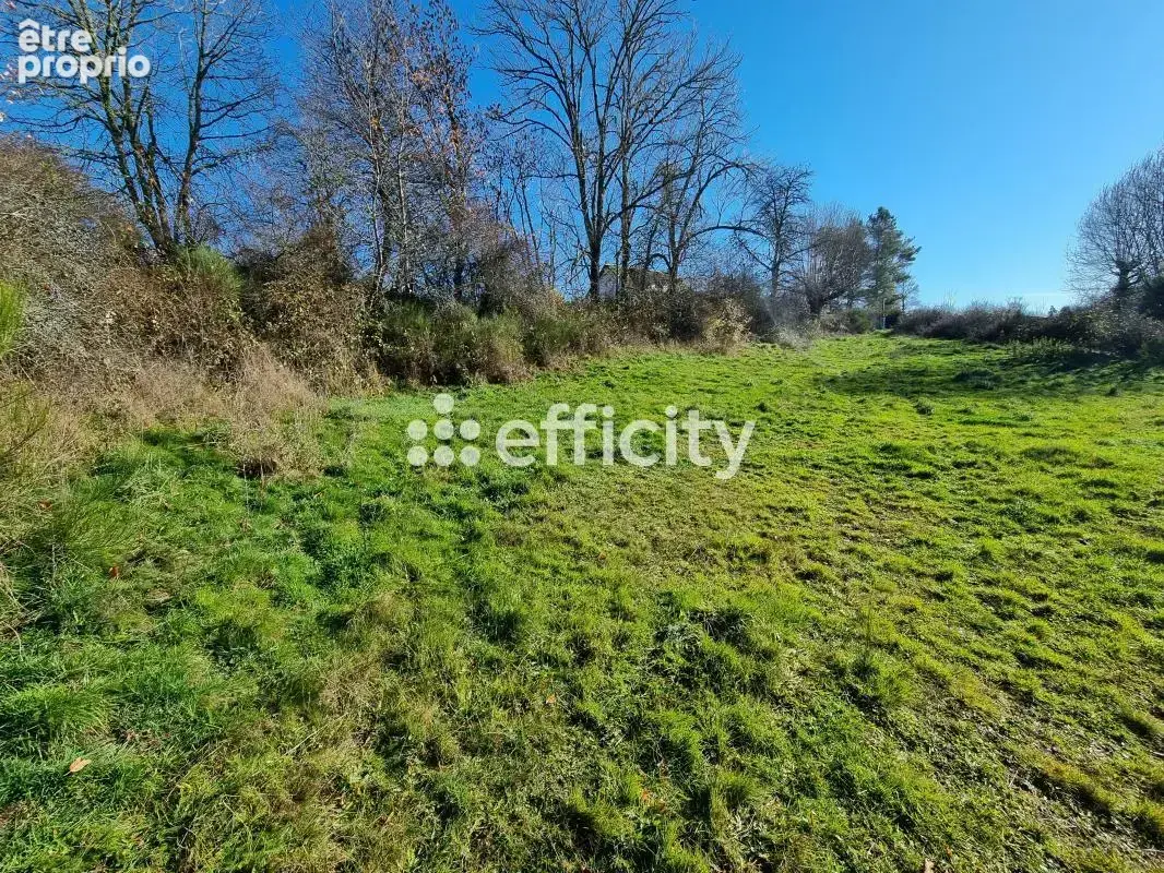 Maison 2 pièces 200 m² à vendre à Saint-Pierre-Le-Vieux (48200) - photo 4