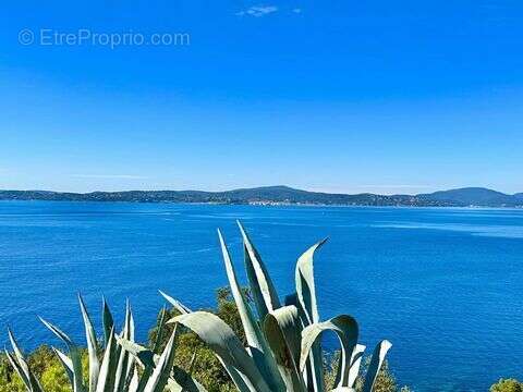 Terrain à SAINTE-MAXIME