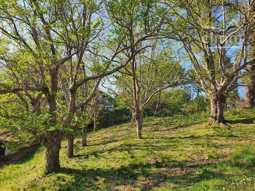 Terrain à MOUGUERRE