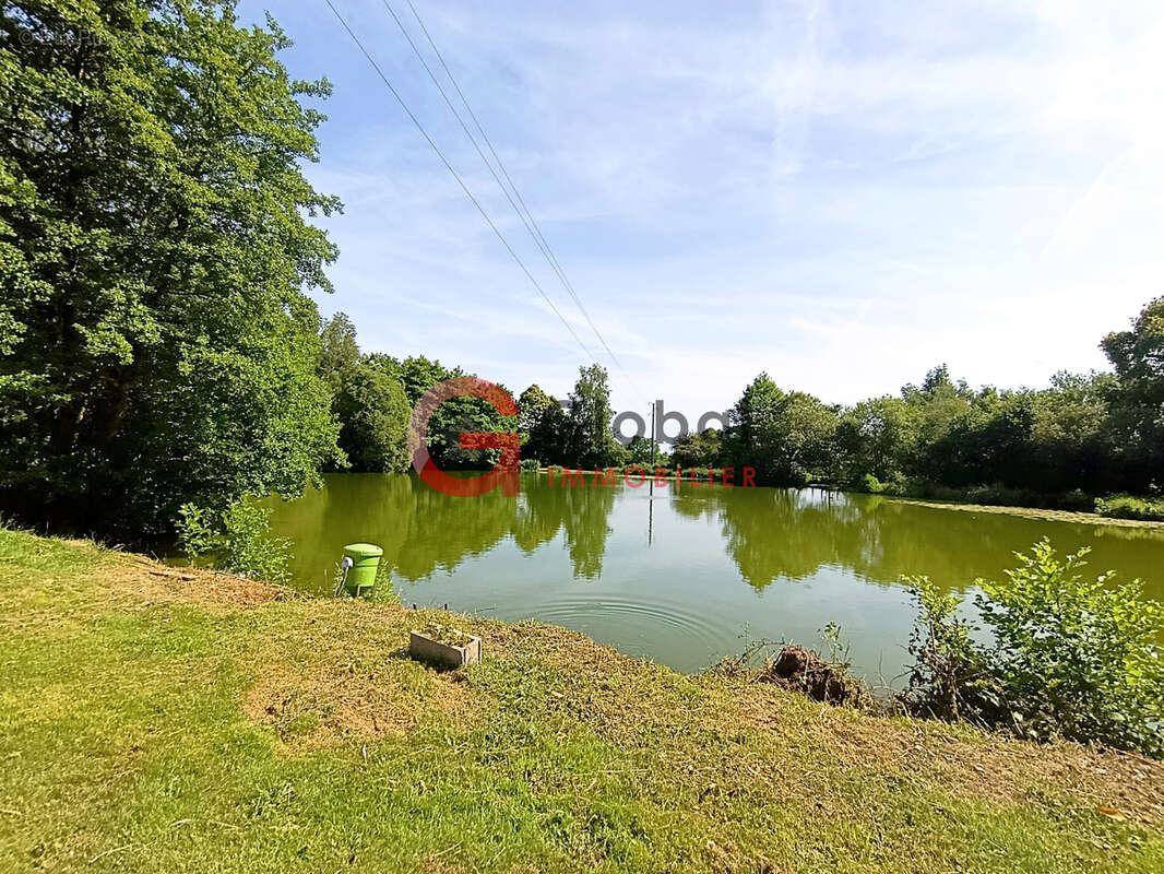 Un petit coin de paradis en Bretagne : Maison de plain-pied avec son étang privé sur 1.4 hectare de terrain - photo 17