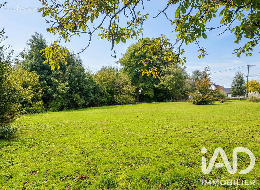 Terrain 1650 m² à Neuville-Sur-Brenne  - photo 6