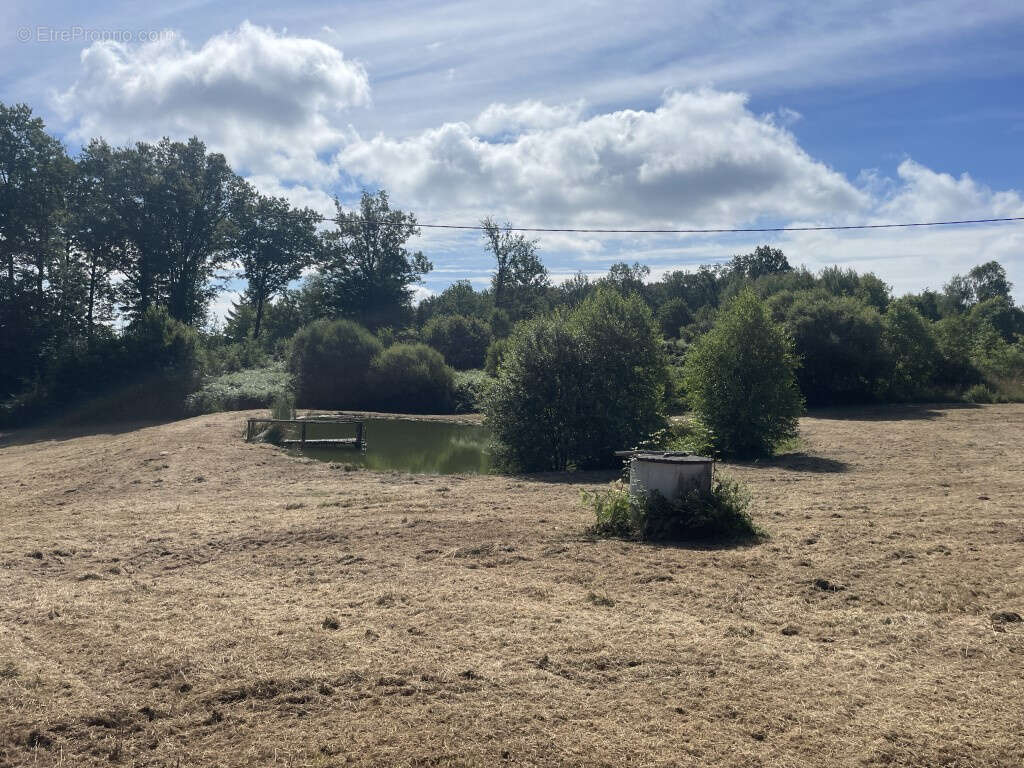 Proche Pompadour, Ségur Le Château, un des plus beaux villages de France - photo 13