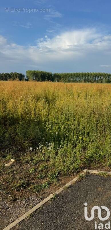 Photo 1 - Terrain à FORGES