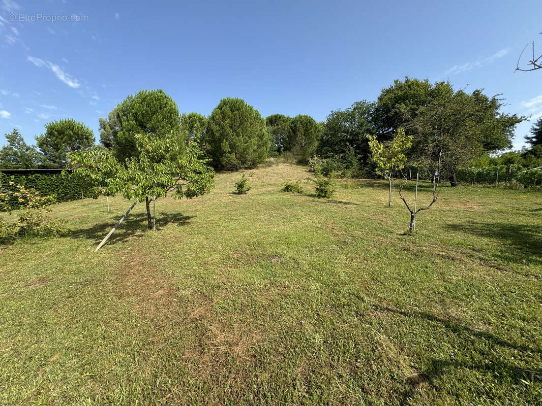 Terrain à ARTHES