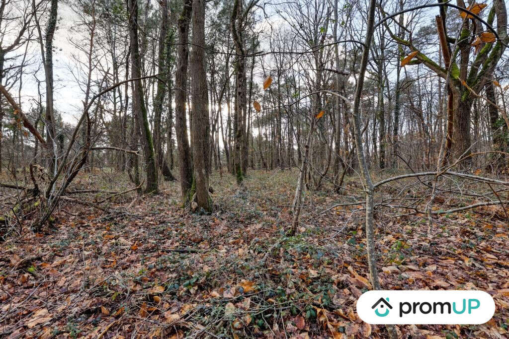 Terrain à CHATILLON-SUR-CHER
