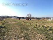 Terrain à OBERDORF