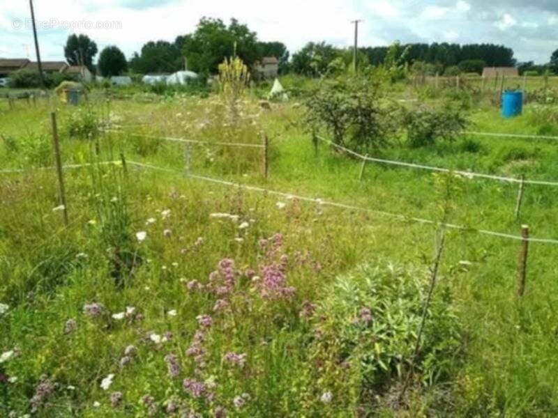 Terrain à SAINT-FRONT-DE-PRADOUX