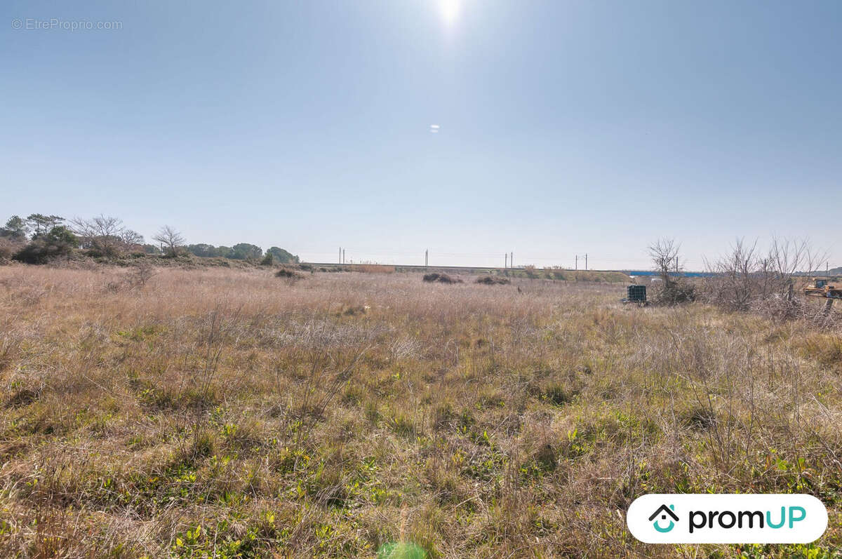 Terrain à LUNEL-VIEL