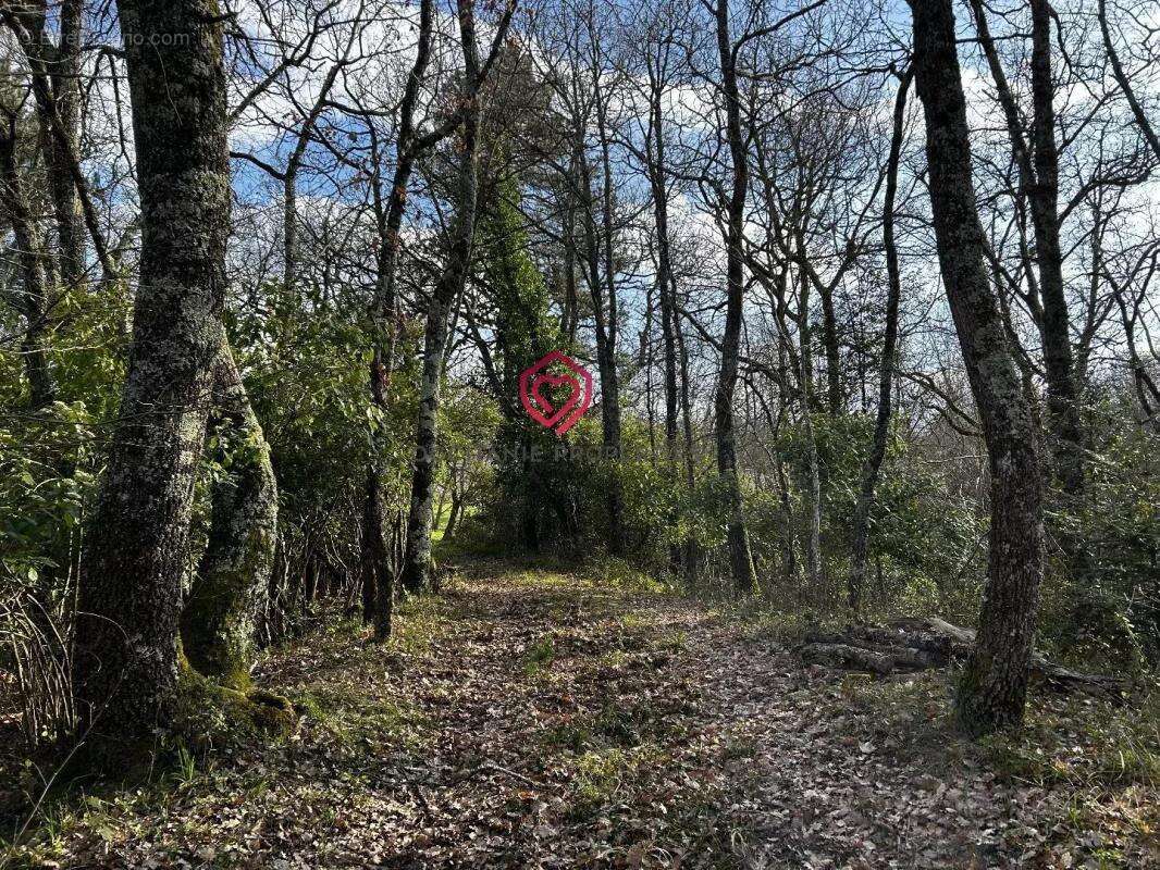 Maison à BELVEZE-DU-RAZES