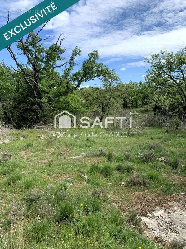Terrain 329955 m² à Lablachere  - photo 2