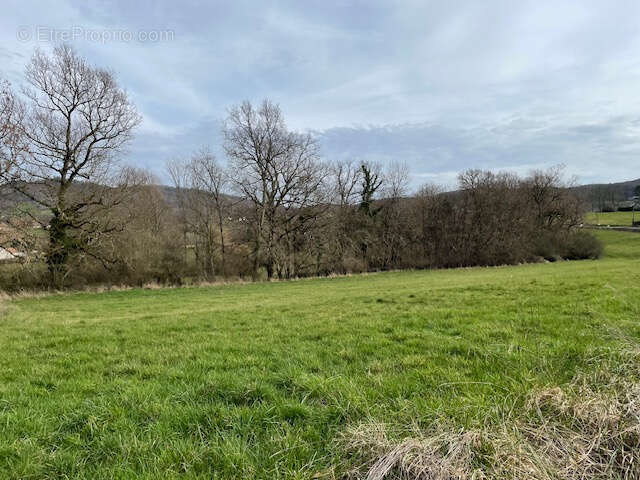Terrain à LARCHE