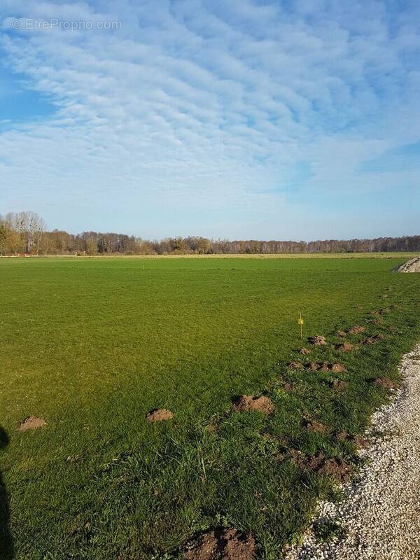 Terrain à TERMINIERS