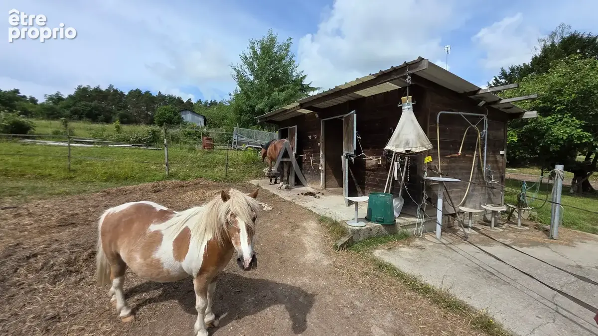 Mareuil-sur-Cher  sur plus de 2 ha ! Propriété équestre et coup de coeur de 143 m² - photo 3