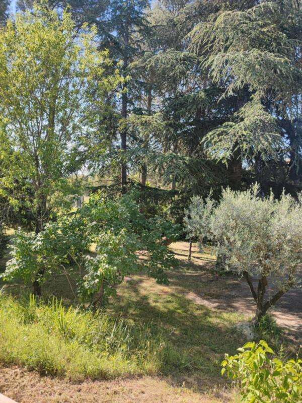 Maison à SAINT-MICHEL-D&#039;EUZET
