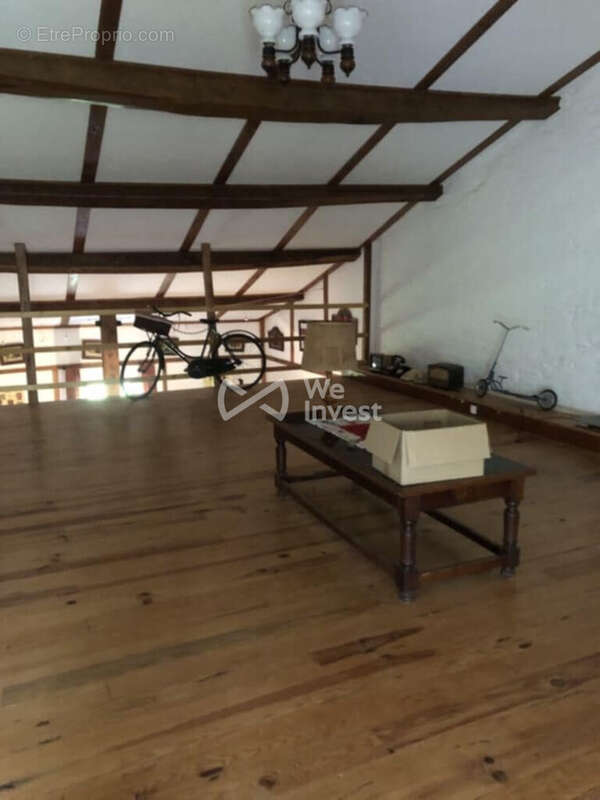 Maison 334 m² à Villemur-Sur-Tarn  - photo 4