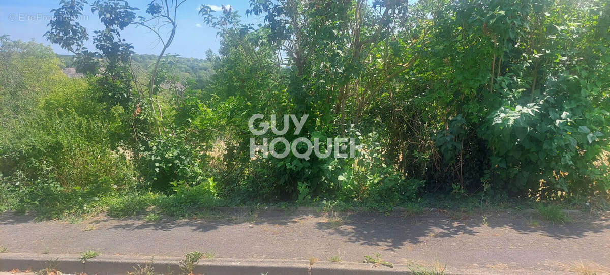 Terrain à LA FALAISE