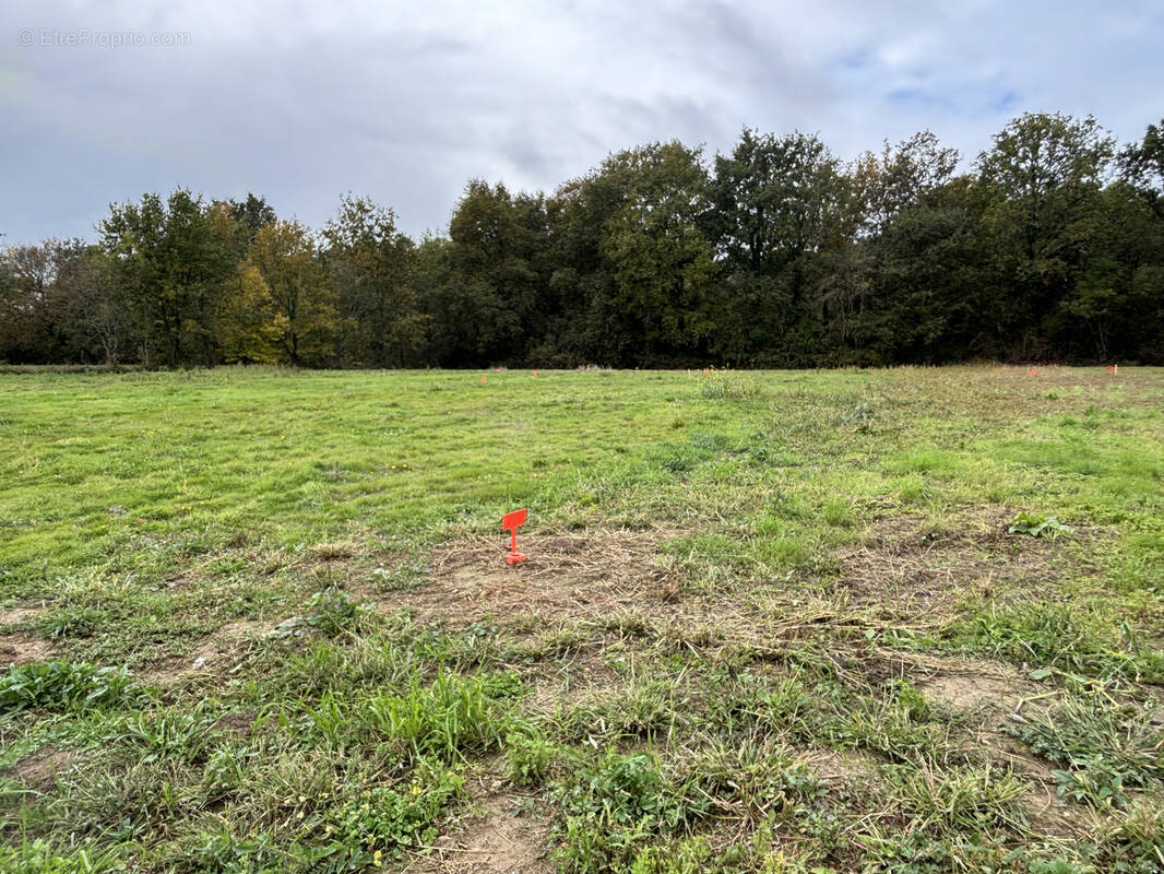Terrain à TALMONT-SAINT-HILAIRE