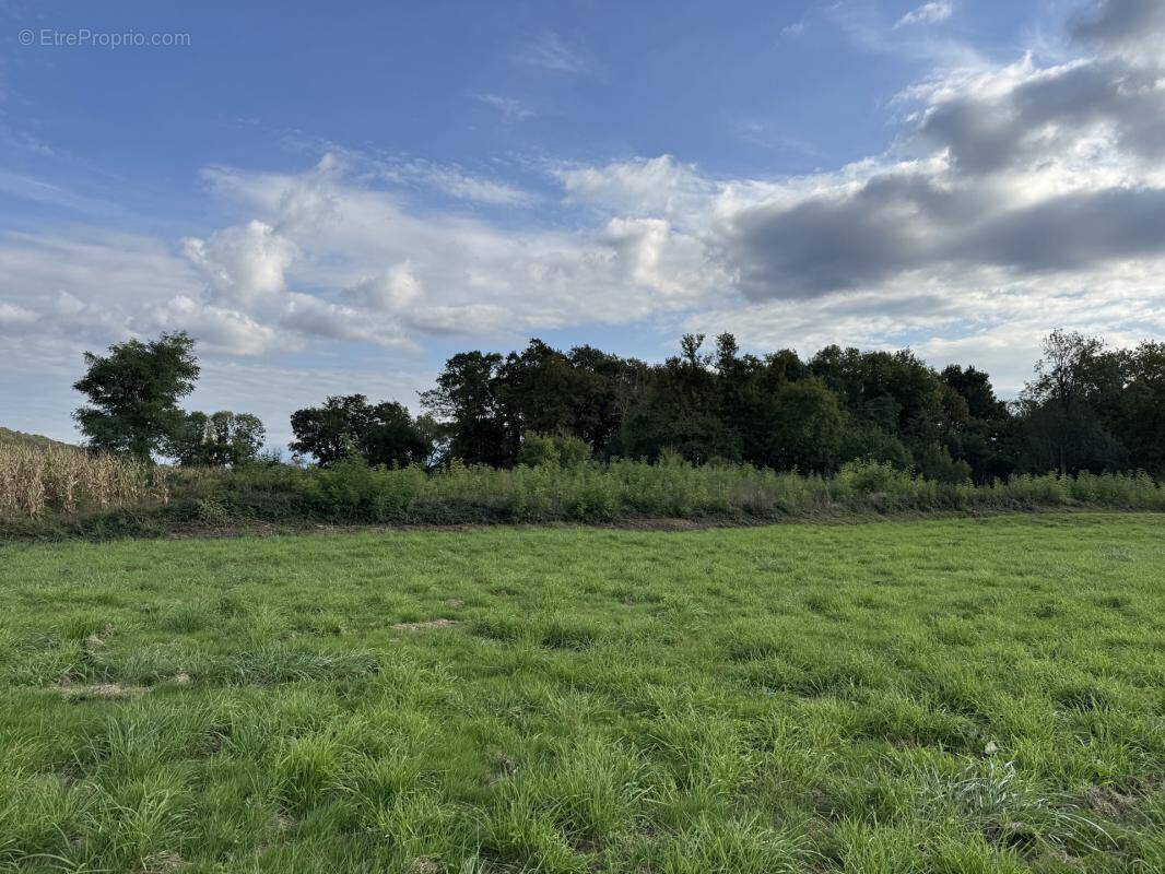 Terrain à SOUMOULOU