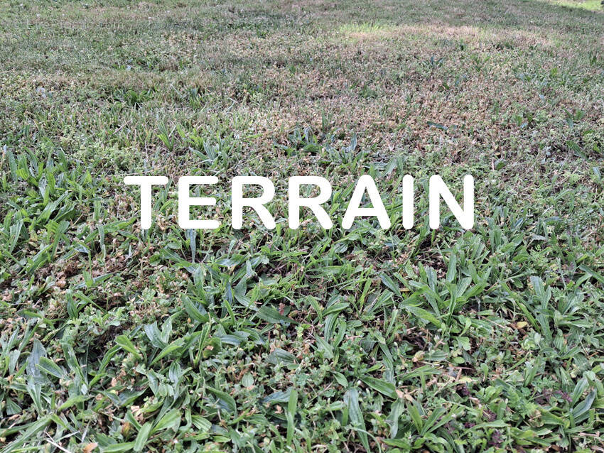 Terrain à LARRA