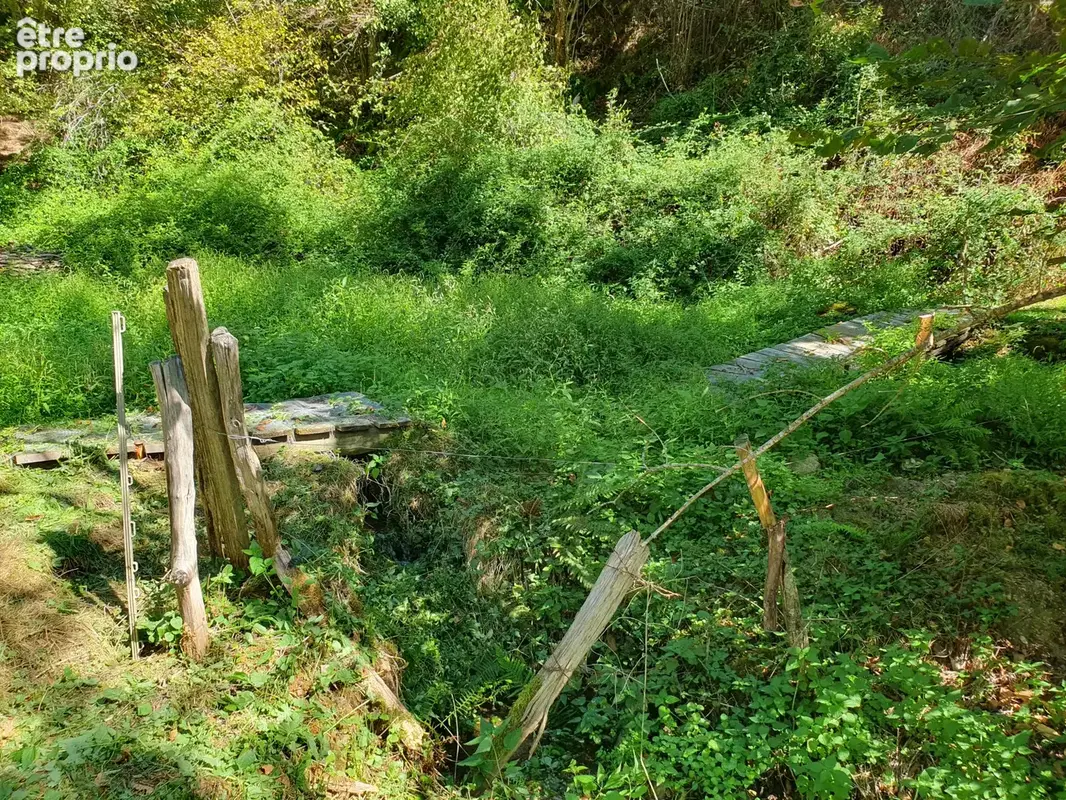 Au coeur de la nature ! - photo 26