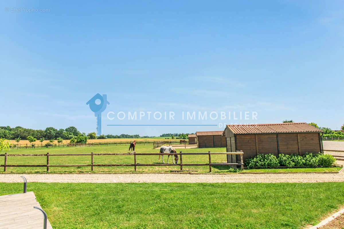 A vendre Dpt Eure (27) Propriété Equestre - A moins d'1 heure de Paris sur parc d'environ 2,6 ha - photo 14