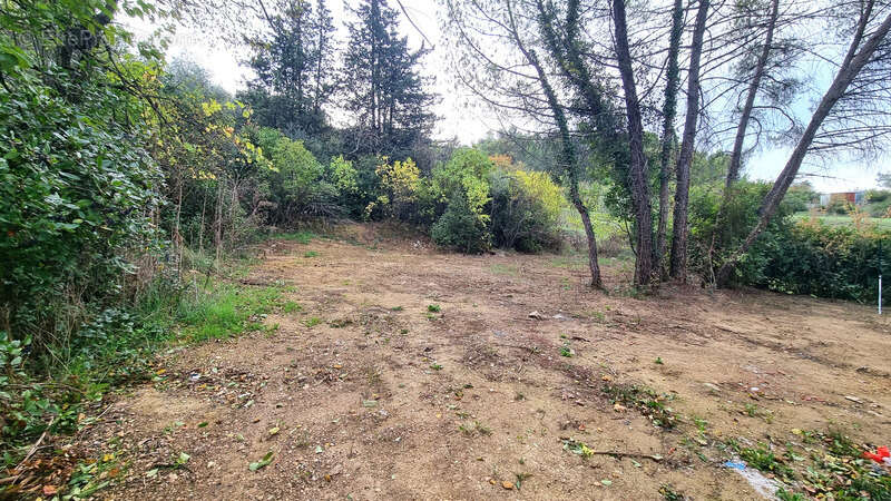 Maison à SAINT-PRIVAT-DES-VIEUX