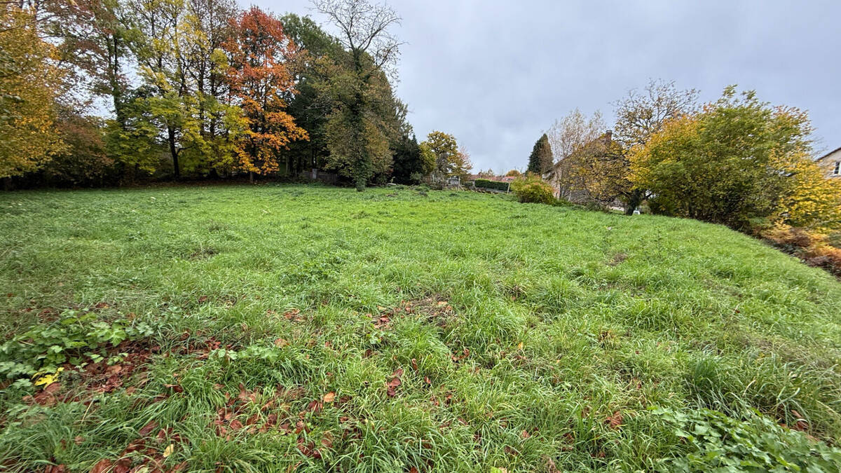 Terrain à MAISONNISSES