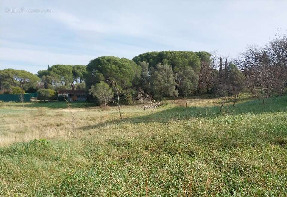 Terrain à ROQUEBRUNE-SUR-ARGENS