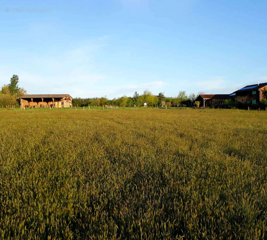 Propriété de 2.5ha avec Maison rénovée, dépendances, Vue Pyrénées - photo 41