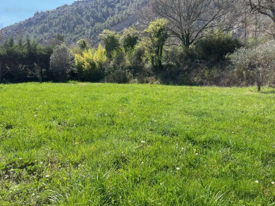 Terrain à CONDORCET